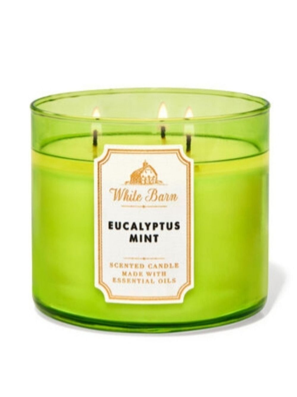 EUCALYPTUS MINT 3-WICK CANDLE